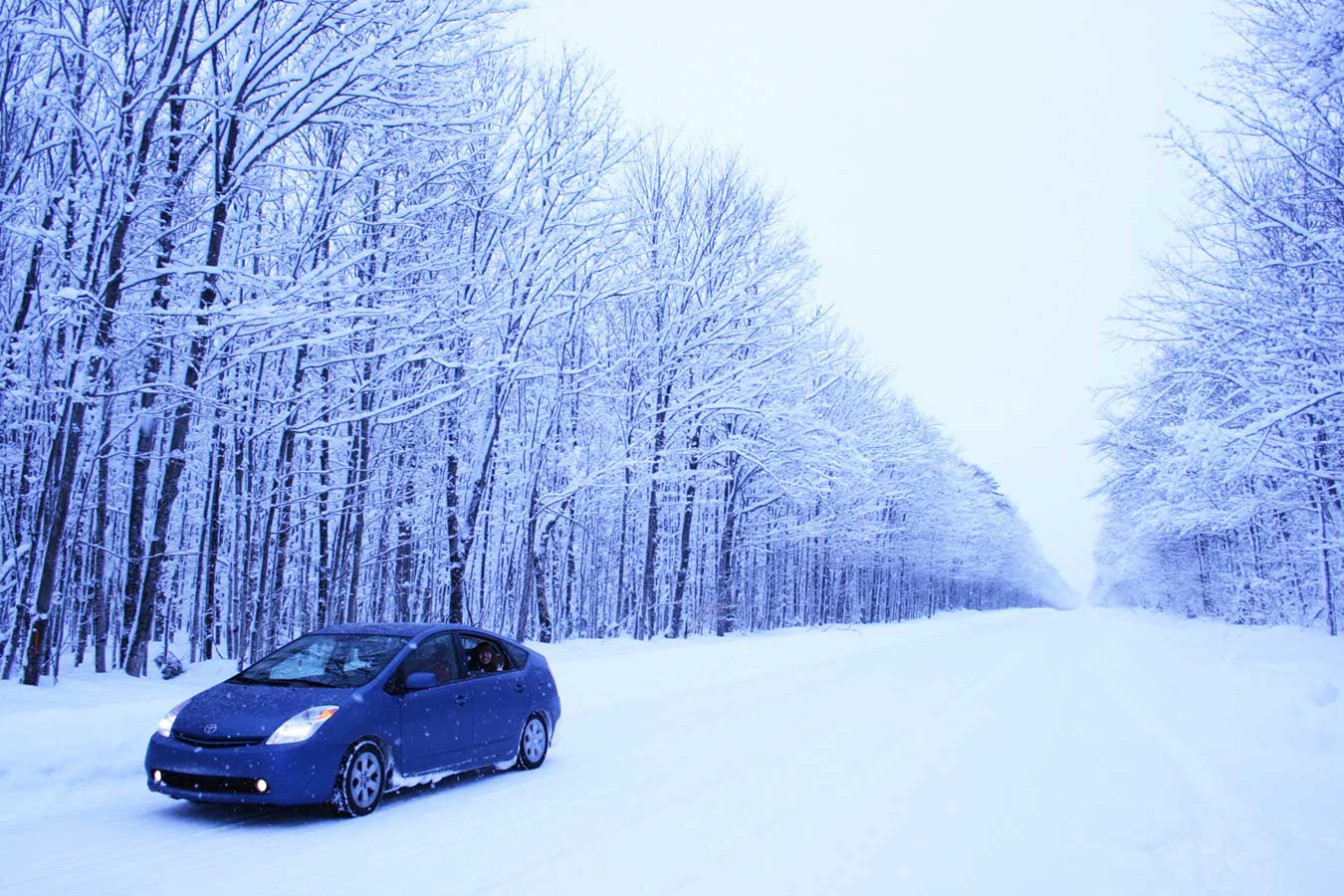 A completely empty snow-filled road stretches to the horizon, flanked by thin trees with branches covered in snow, all with a blue hue. A lone Toyota Prius approaches the photographer, its blue matching the trees.